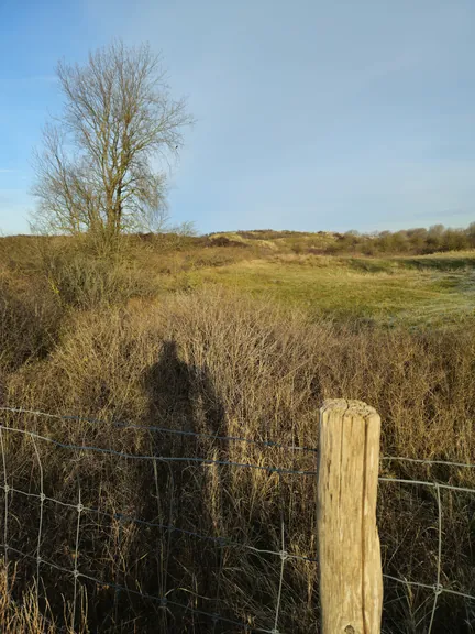 Oostnieuwkerke duinen wandeling in de koude (België)